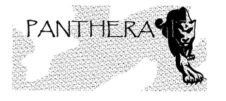 PANTHERA logo