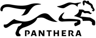 PANTHERA logo