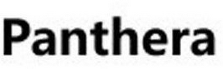 PANTHERA logo