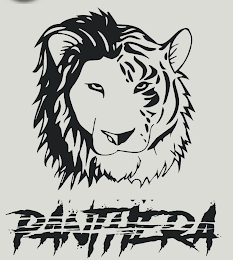 PANTHERA logo