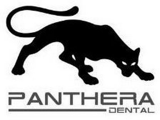 PANTHERA DENTAL logo