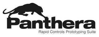 PANTHERA RAPID CONTROLS PROTOTYPING SUITE logo