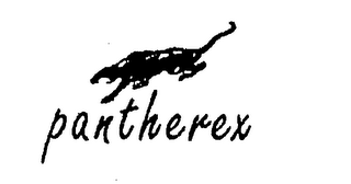 PANTHEREX logo