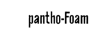 PANTHO-FOAM logo