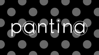PANTINA logo