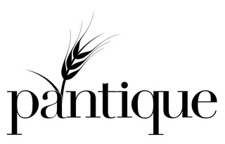 PANTIQUE logo