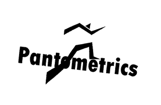 PANTOMETRICS logo