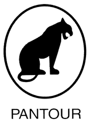 PANTOUR logo