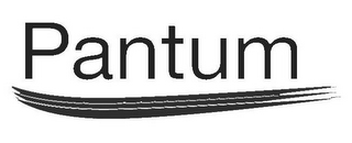 PANTUM logo