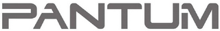 PANTUM logo