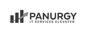 PANURGY IT SERVICES ELEVATED logo