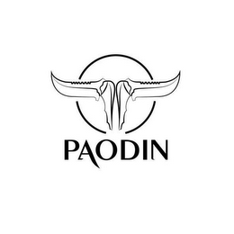 PAODIN logo