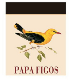 PAPA FIGOS logo