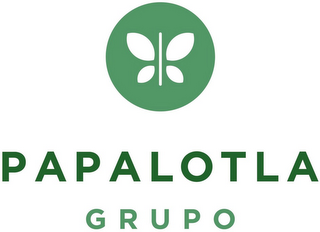 PAPALOTLA GRUPO logo