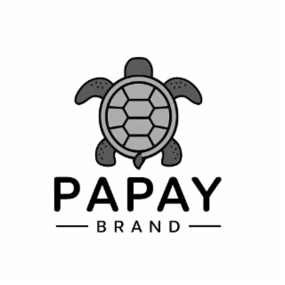 PAPAY BRAND logo