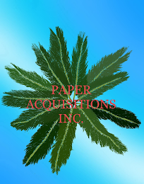 PAPER ACQUISITIONS INC. logo
