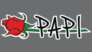 PAPI logo