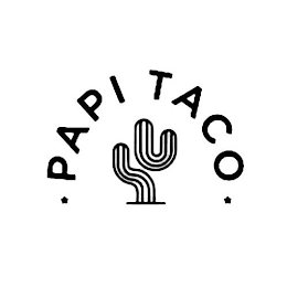 PAPI TACO logo