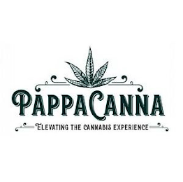 PAPPACANNA ELEVATING THE CANNABIS EXPERIENCE logo
