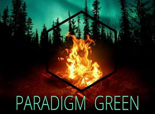 PARADIGM GREEN logo