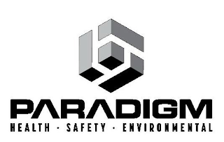 PARADIGM HEALTH • SAFETY • ENVIRONMENTAL logo