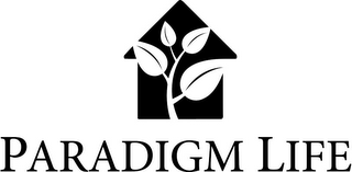 PARADIGM LIFE logo
