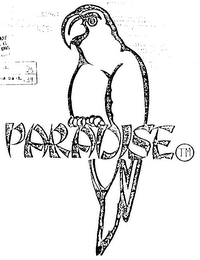 PARADISE logo