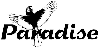PARADISE logo