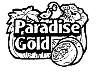 PARADISE GOLD logo