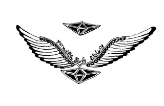 PARADISE STARFLY STYLE logo