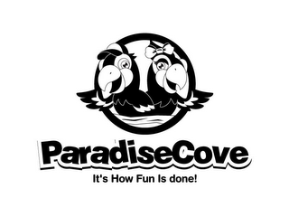 PARADISECOVE IT'S HOW FUN IS DONE! logo