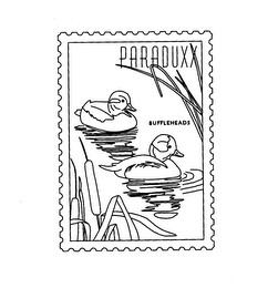 PARADUXX BUFFLEHEADS logo