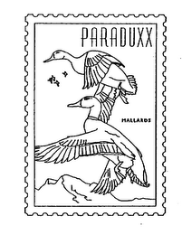 PARADUXX MALLARDS logo