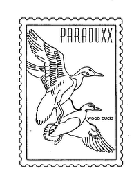 PARADUXX WOOD DUCKS logo