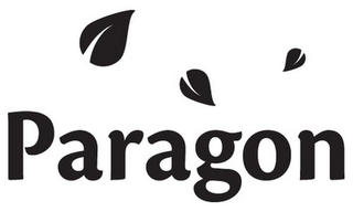 PARAGON logo