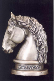 PARAGON logo