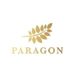 PARAGON logo