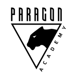 PARAGON ACADEMY logo