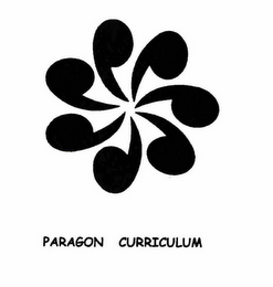PARAGON CURRICULUM logo