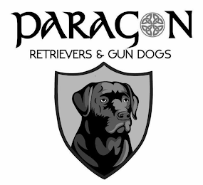PARAGON RETRIEVERS & GUN DOGS logo