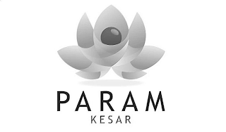 PARAM KESAR logo