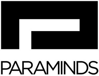 PARAMINDS logo