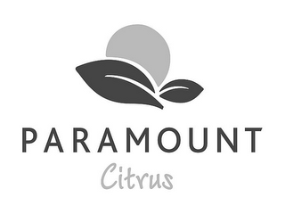PARAMOUNT CITRUS logo