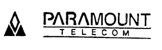 PARAMOUNT TELECOM logo