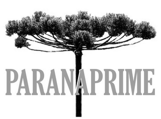 PARANAPRIME logo