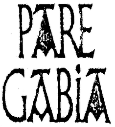 PARE GABIA logo