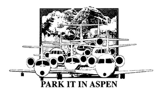 PARK IT IN ASPEN logo