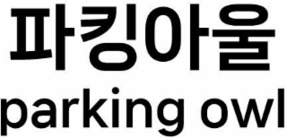 PARKING OWL logo