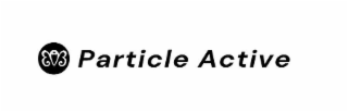 PARTICLE ACTIVE logo