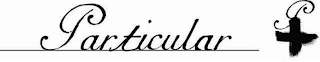 PARTICULAR P logo